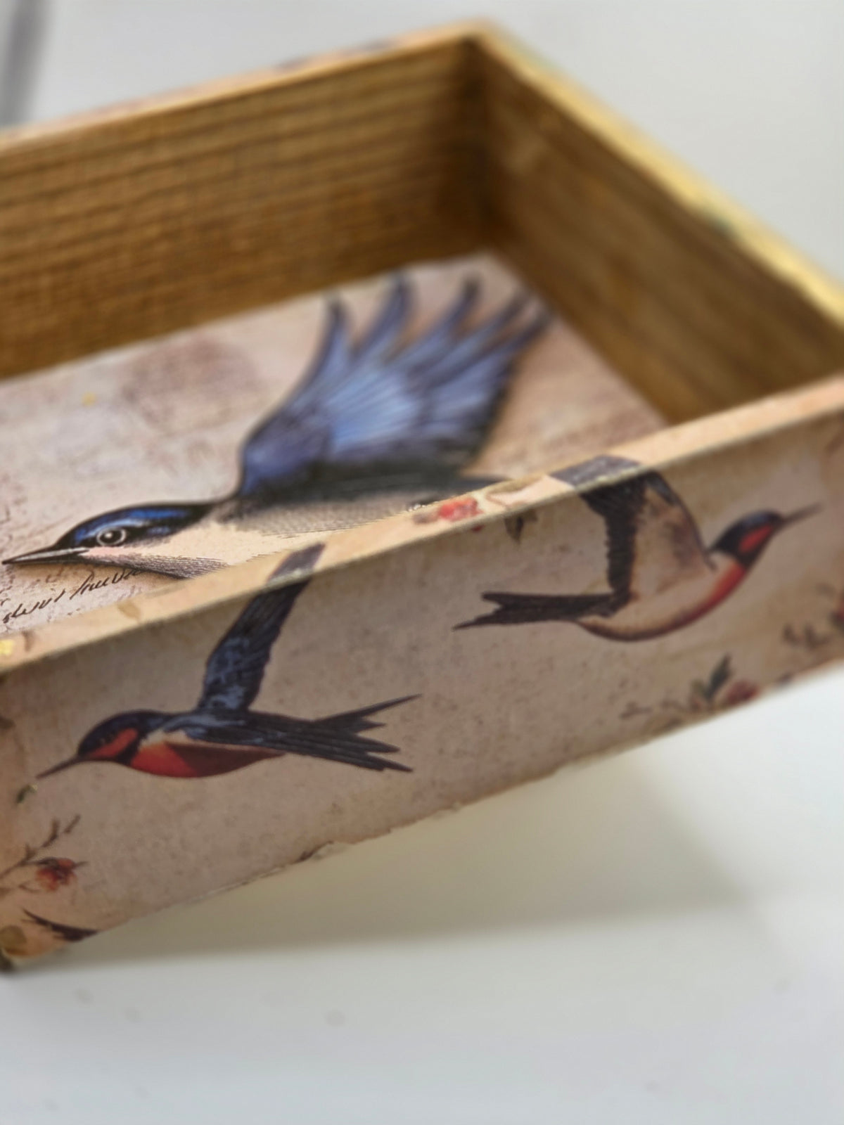 Bluebird Garden open box