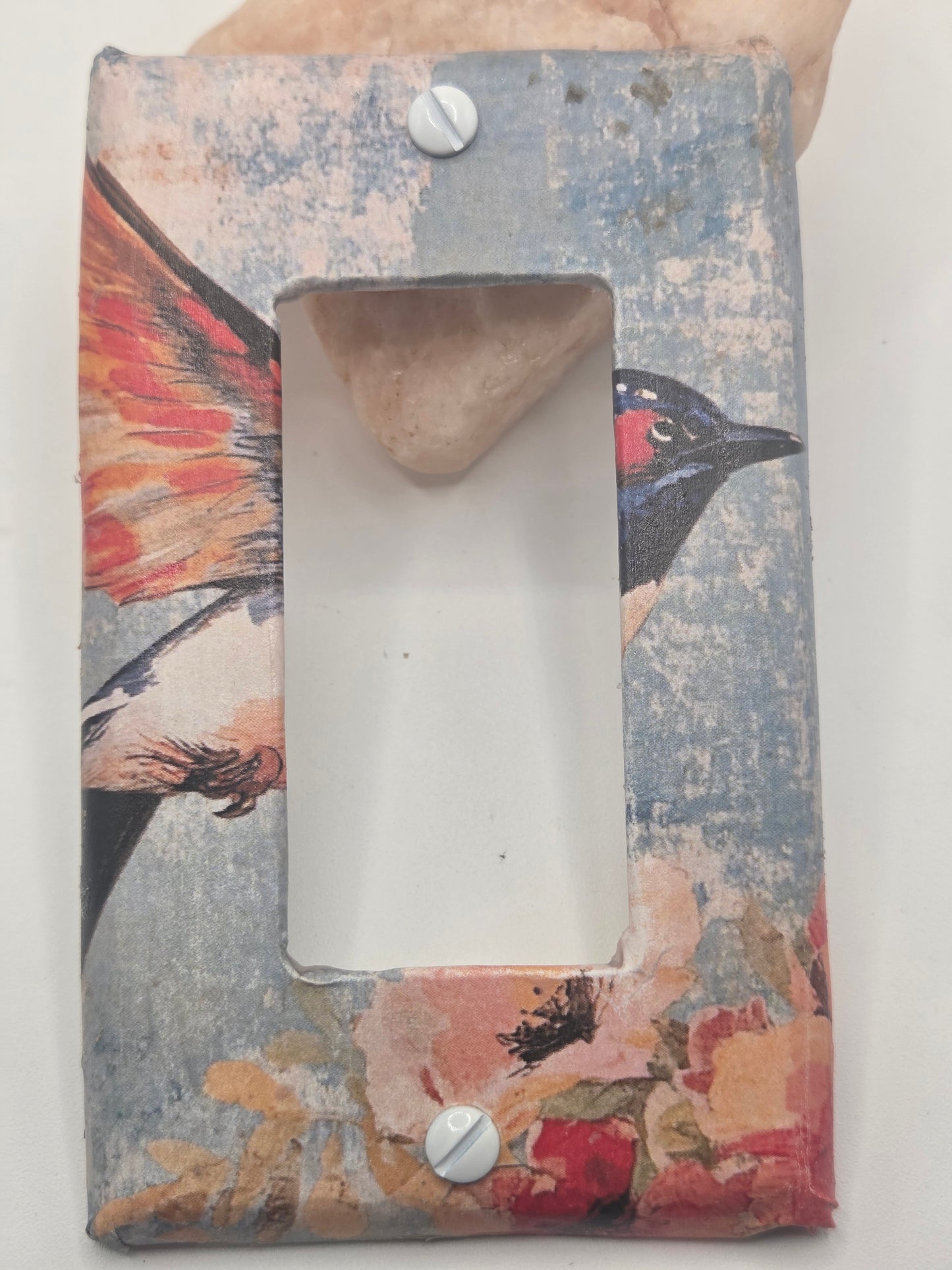 Blue Bird light toggle cover