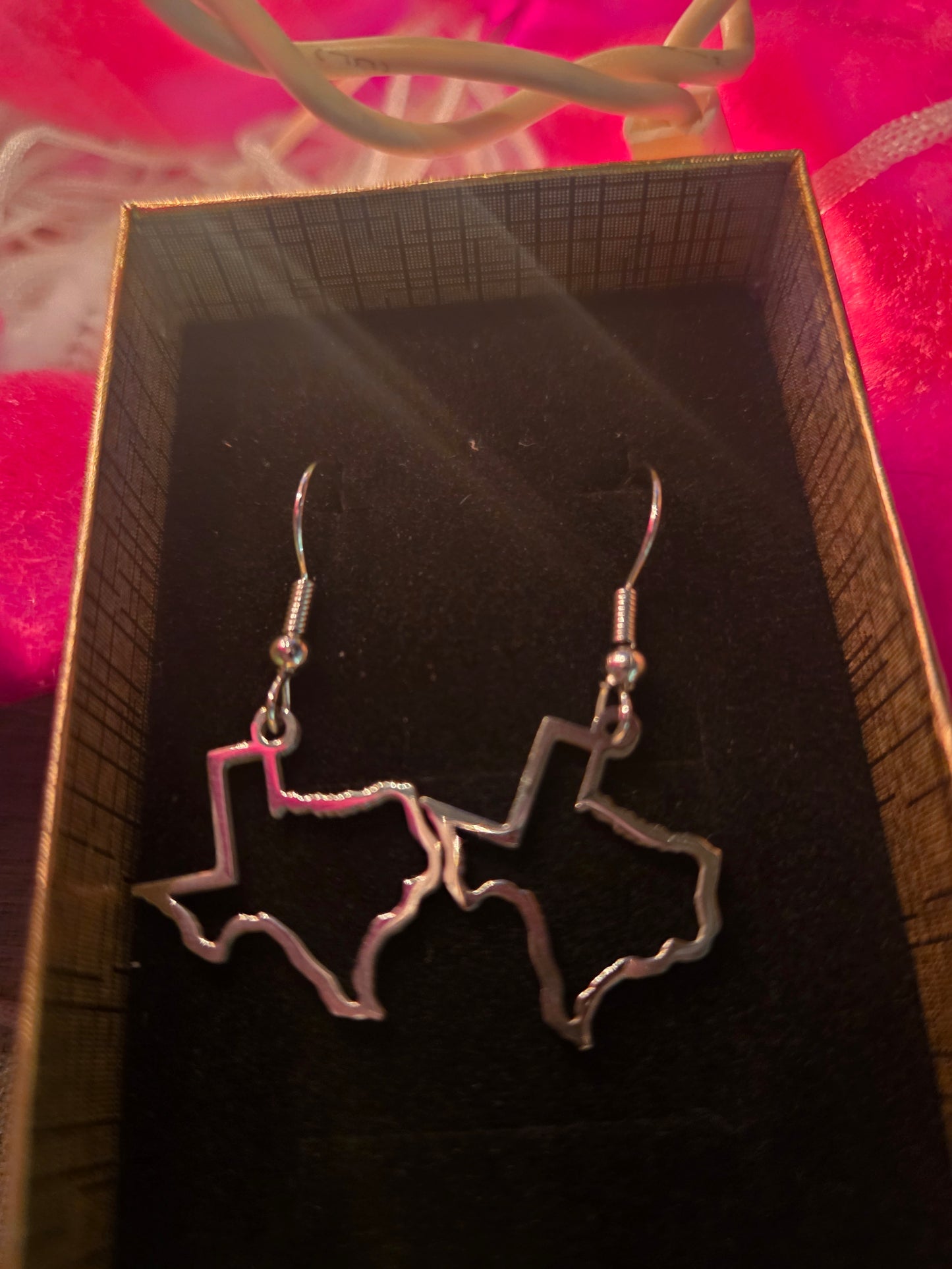 Texas State  earrings