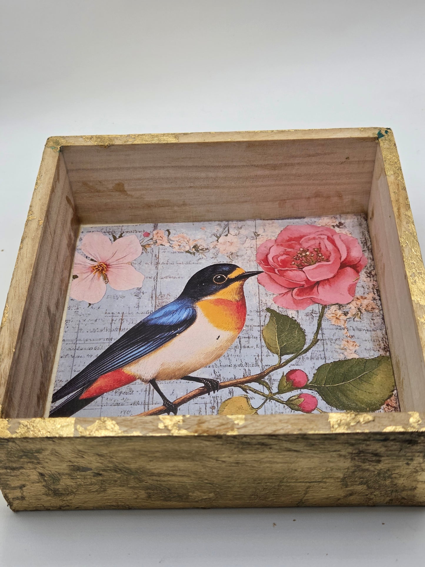 Gilded Garden Song open box
