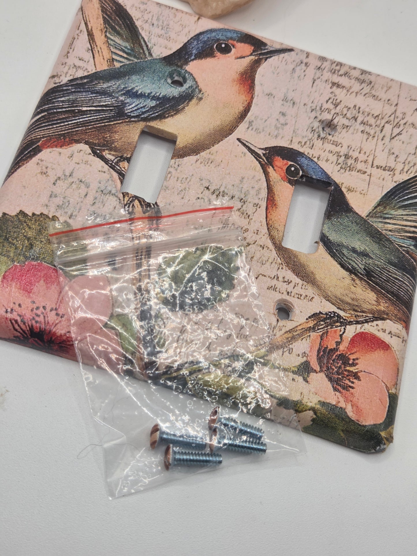 Blue birds double light switch cover.
