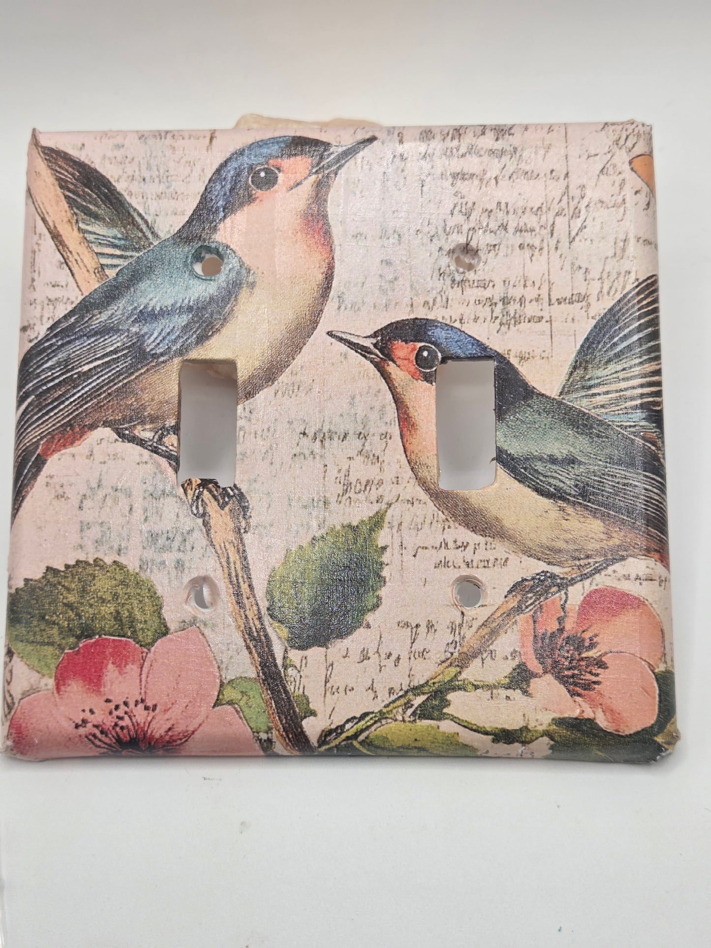 Blue birds double light switch cover.
