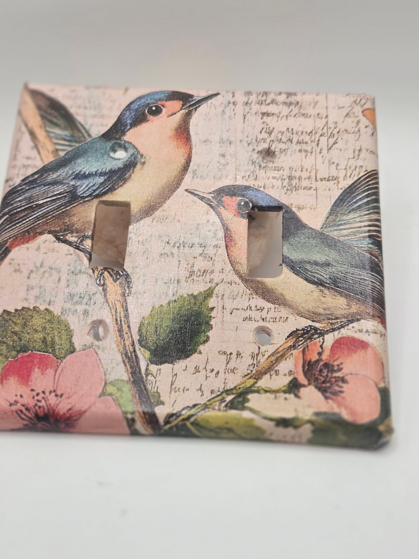 Blue birds double light switch cover.